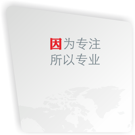 因为专注，所以专业